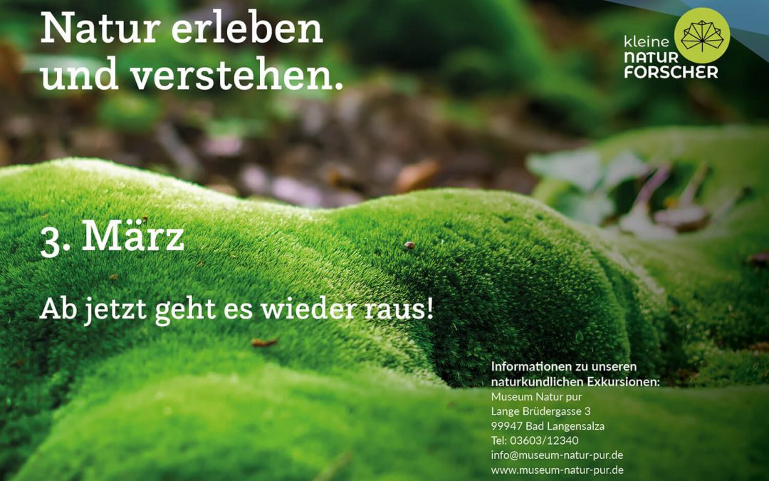 kleine NATUR FORSCHER